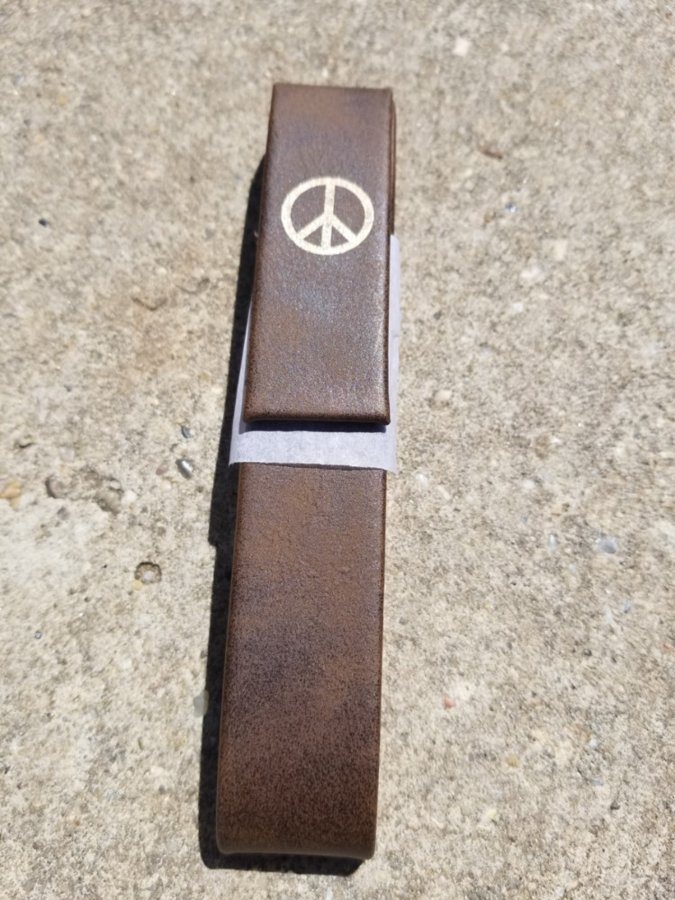 hard single pen case